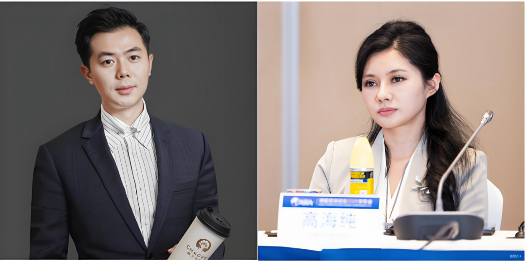 光伏子公司破产清算立案，海南发展跨界大消费赛道求变，连续亏损之下转型突围挑战犹存