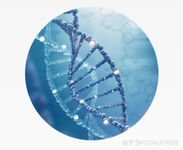 英国与德国合作推进量子技术研发