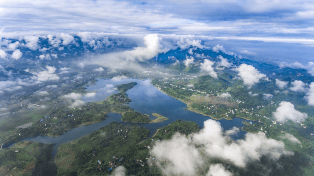 2025台湾创艺生活节开幕 黑面琵鹭串起深台情缘