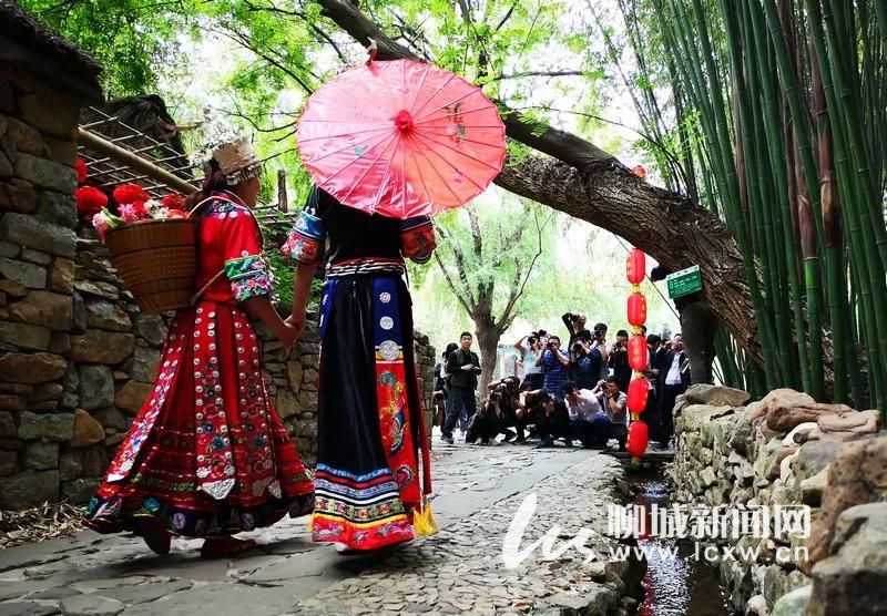 (走进中国乡村)青年赴浙江乡村寻找事业“新可能”
