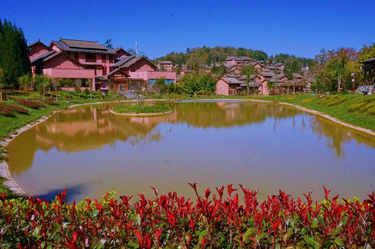 (走进中国乡村)青年赴浙江乡村寻找事业“新可能”