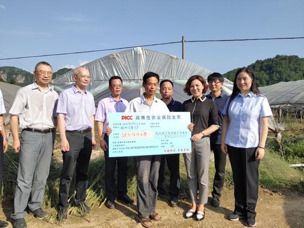 2026年电力滤波器行业未来发展趋势及投资战略研究_保险有温度,人保财险