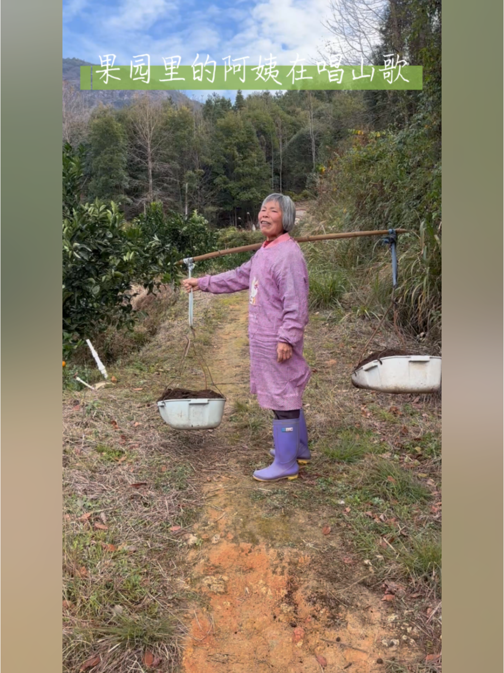 (乡村行・看振兴)统战助力 江西玉山“橙”就富民路