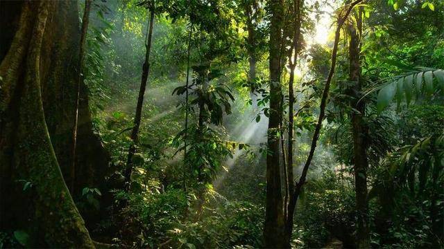 厦门国贸:提前关闭西牯岭矿山项目并签订《关闭补偿协议》等协议