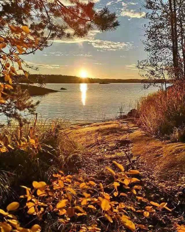 不甘“边缘化”?中部大省“向外求索”