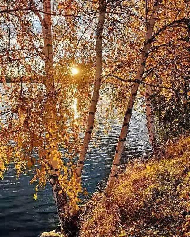 不甘“边缘化”?中部大省“向外求索”