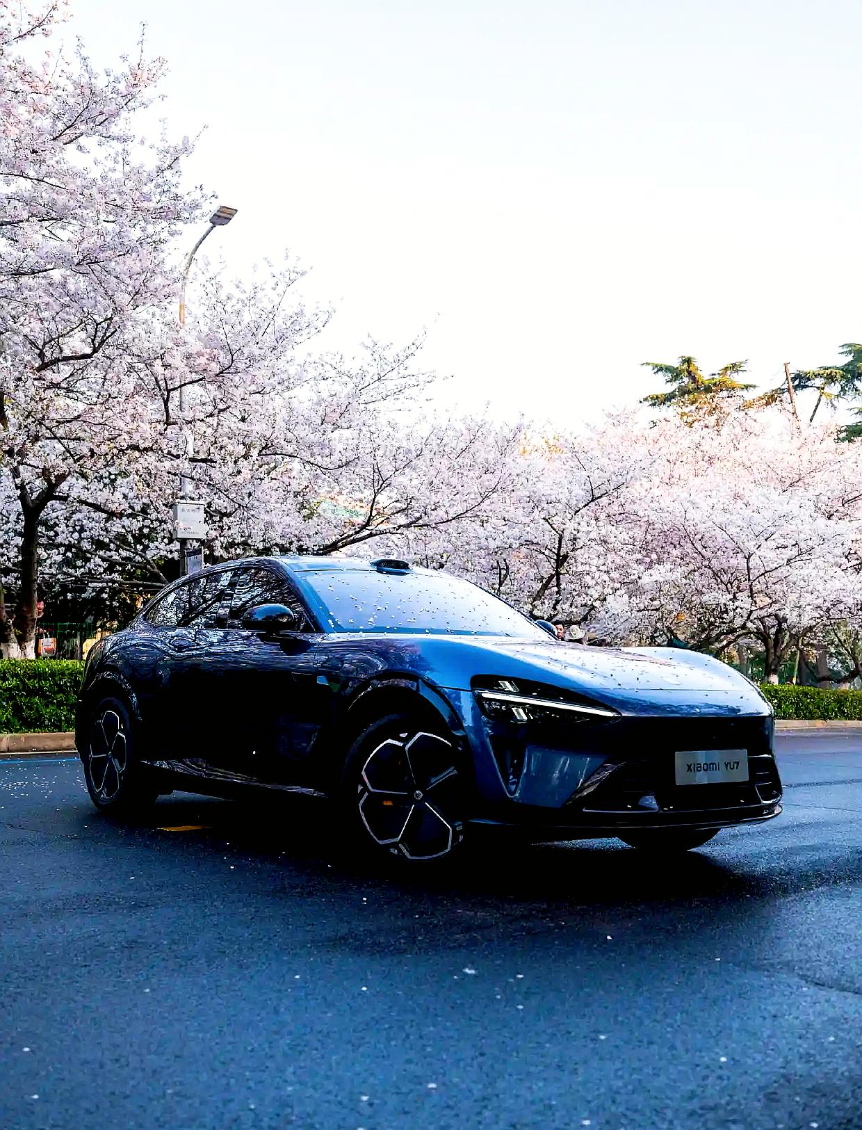 人保服务 ,拥有“如意行”驾乘险，出行更顺畅！_2026年能源检测行业市场深度调研及未来发展趋势