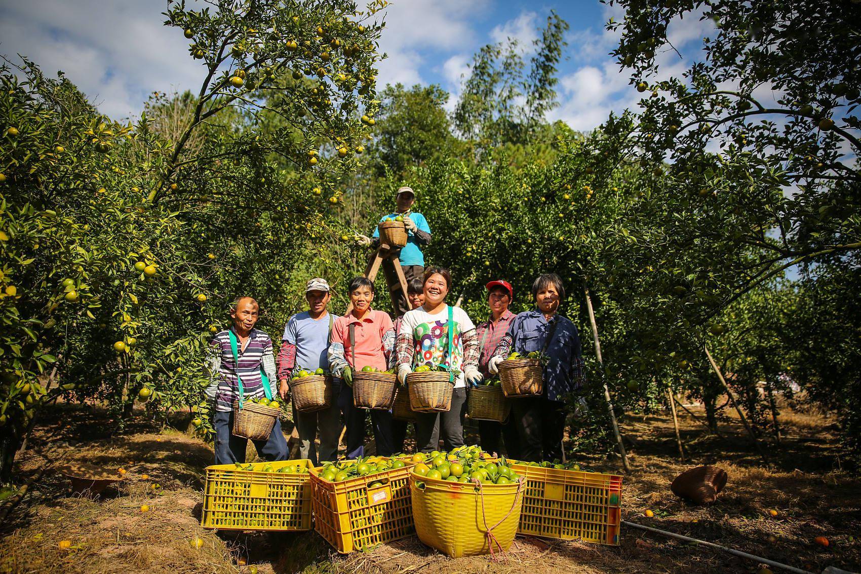 物产金轮:纺织梳理器材主要销往东南亚地区