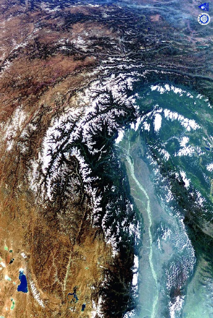 科学与健康丨青藏高原咋种树？雌雄互补，菌肥增效