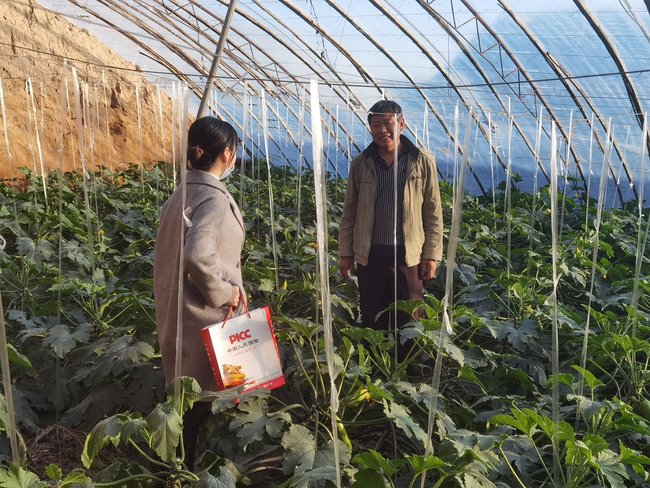 保险有温度,人保服务_页岩气行业深度调研及未来发展趋势预测2026