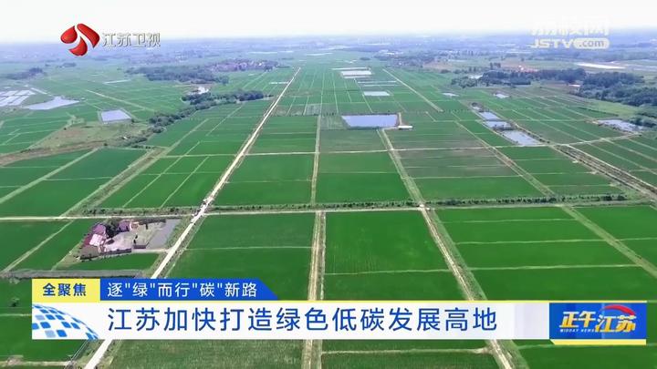 人保服务 ,人保财险 _2026-2030年建材行业:绿色转型与高质量发展投资机遇深度解析