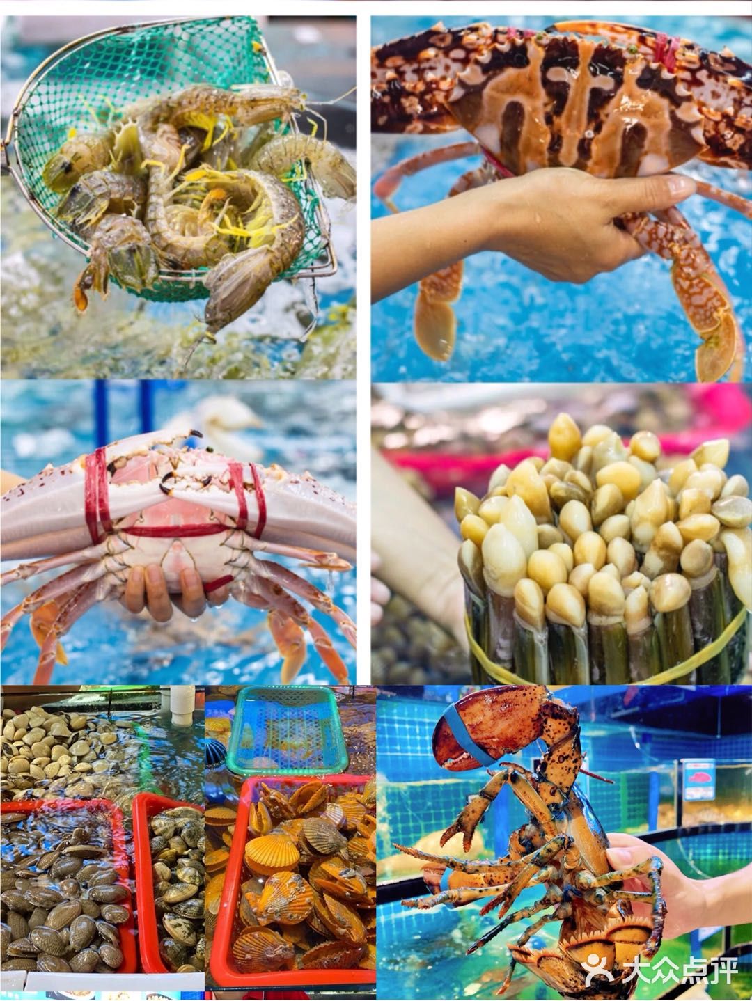 海口“十五五”规划建议：持续扩大多功能自由贸易账户享惠面 加快跨境资金集中运营中心集聚发展