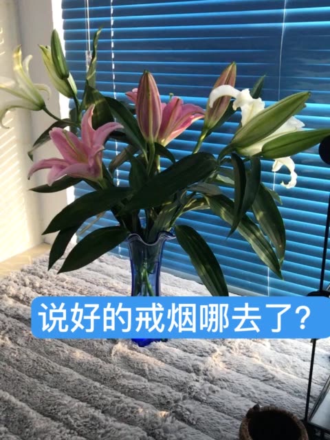 快手深夜报警！