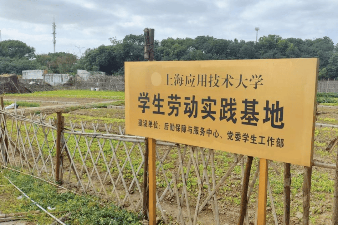 人保财险政银保 ,人保财险 _2026-2030年中国毛巾行业：细分场景与人群精准定位投资图谱