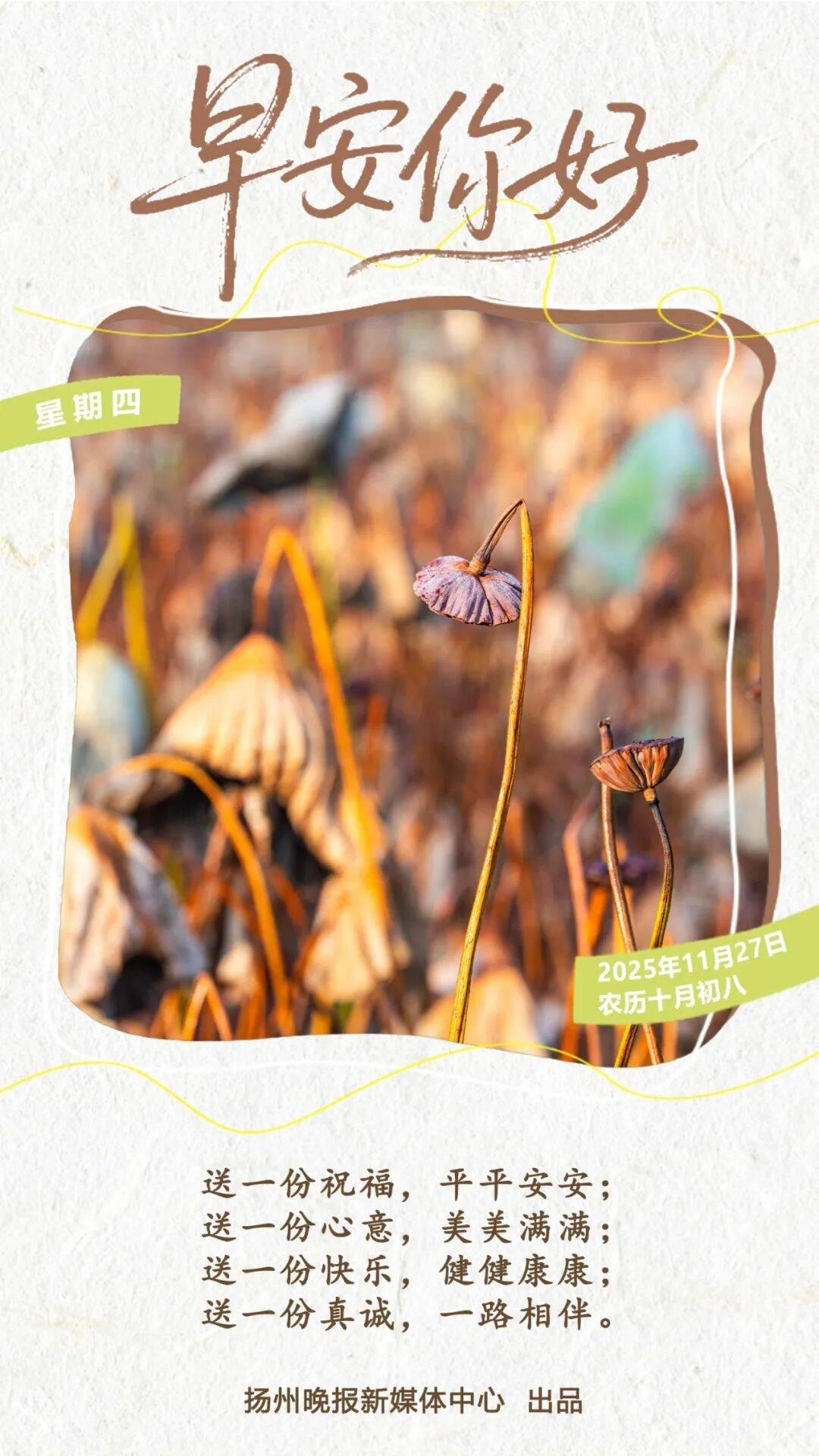 香港警方就大埔宏福苑火灾再拘捕一名男子