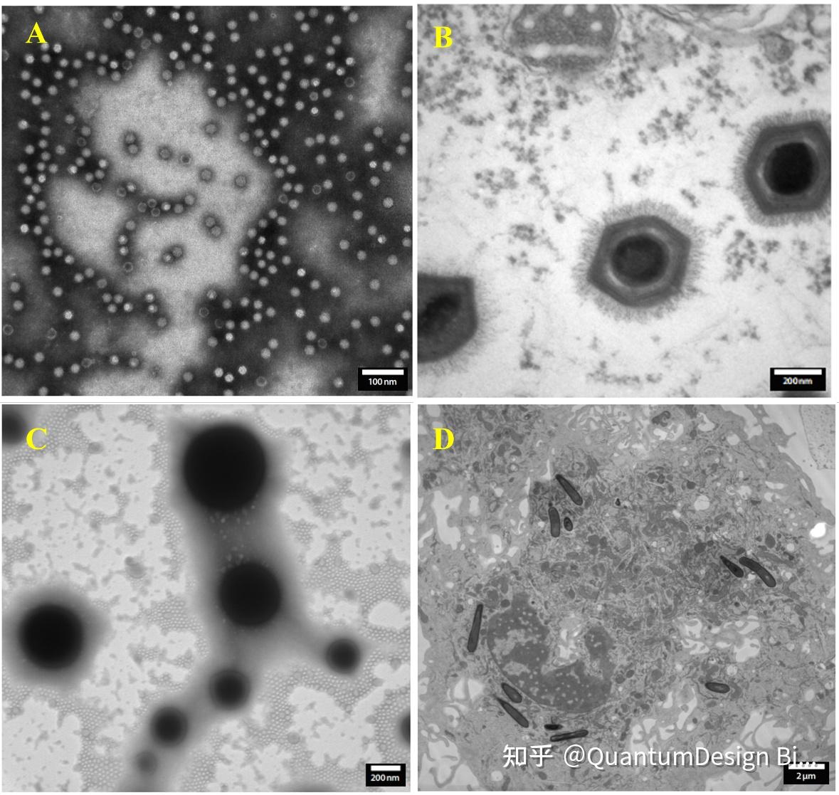 龙钇科技(831879):拟设立赣州龙钇斯年纳米超微新材料有限公司