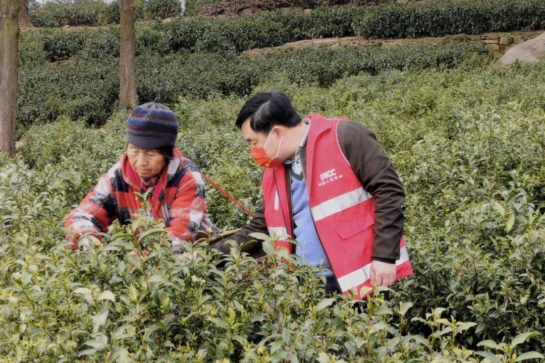 2026都市农业项目商业计划书：从“靠天吃饭”到“数字种田”的跨越_人保服务 ,人保财险政银保 