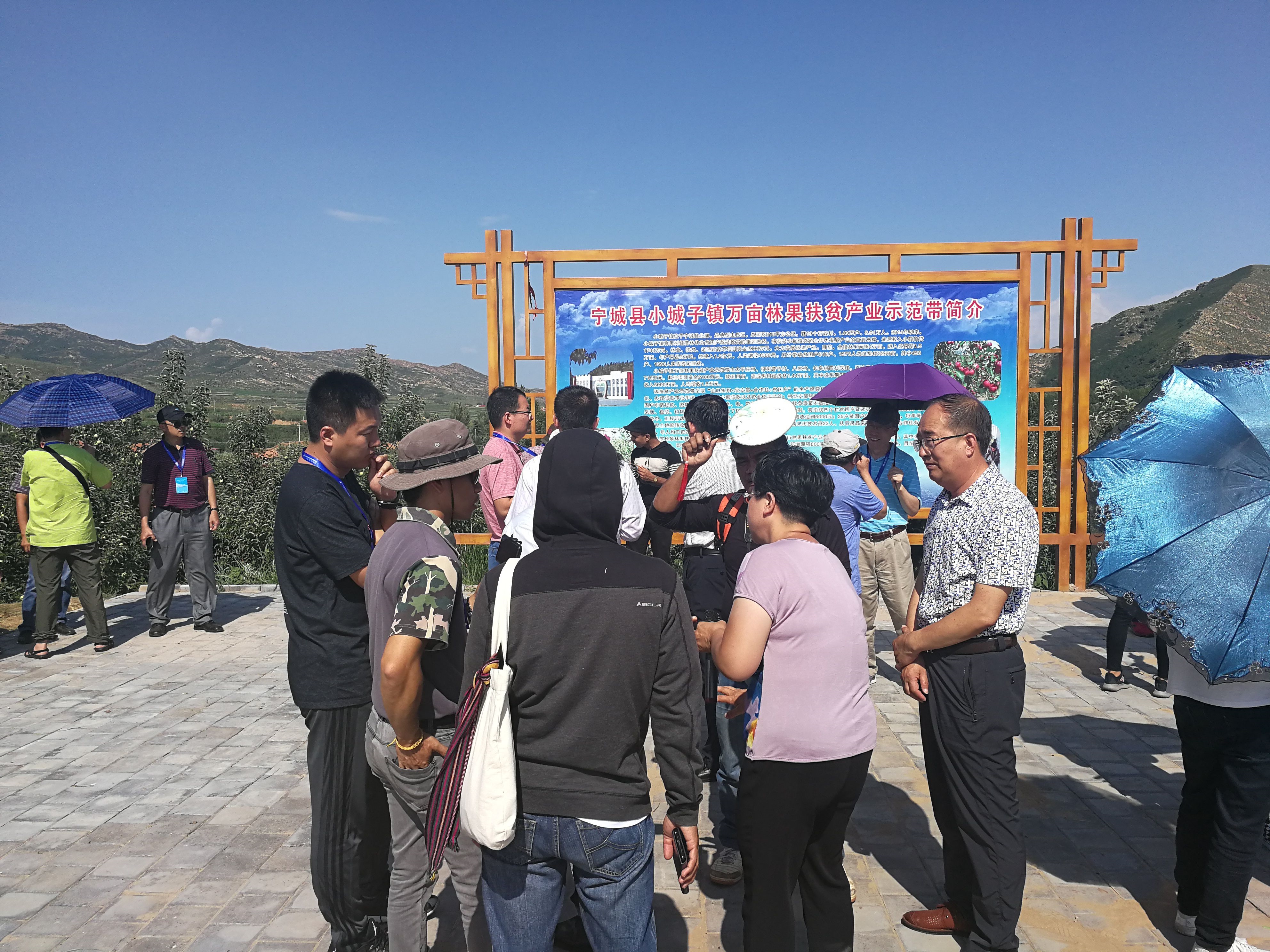 豫西小城偃师年关产业忙 “一镇一业”绘出乡村新图景