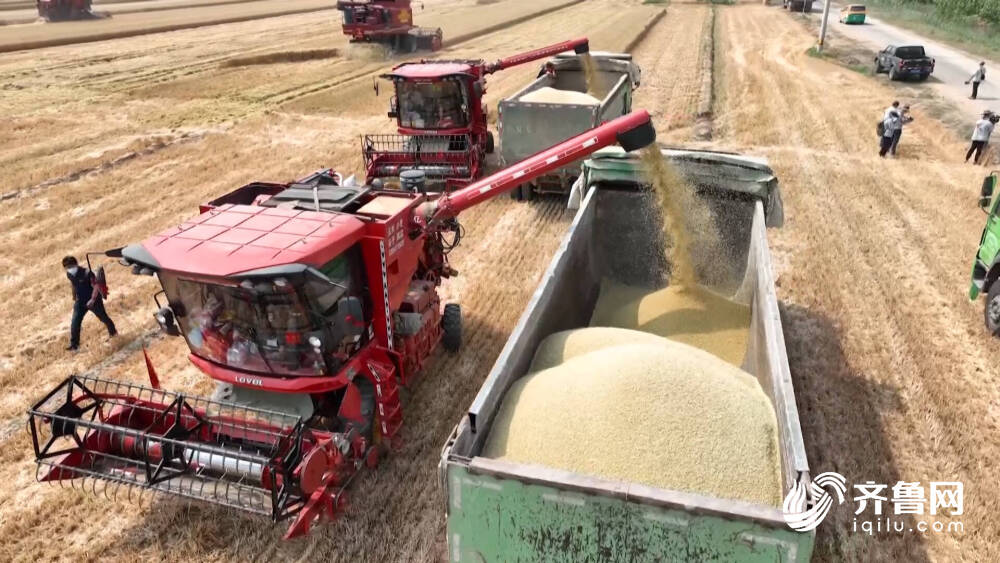 河南出台全链条粮食减损节约方案