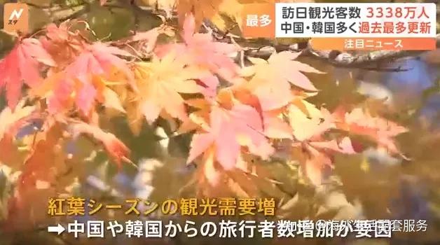 赛腾股份成交额创2024年11月13日以来新高