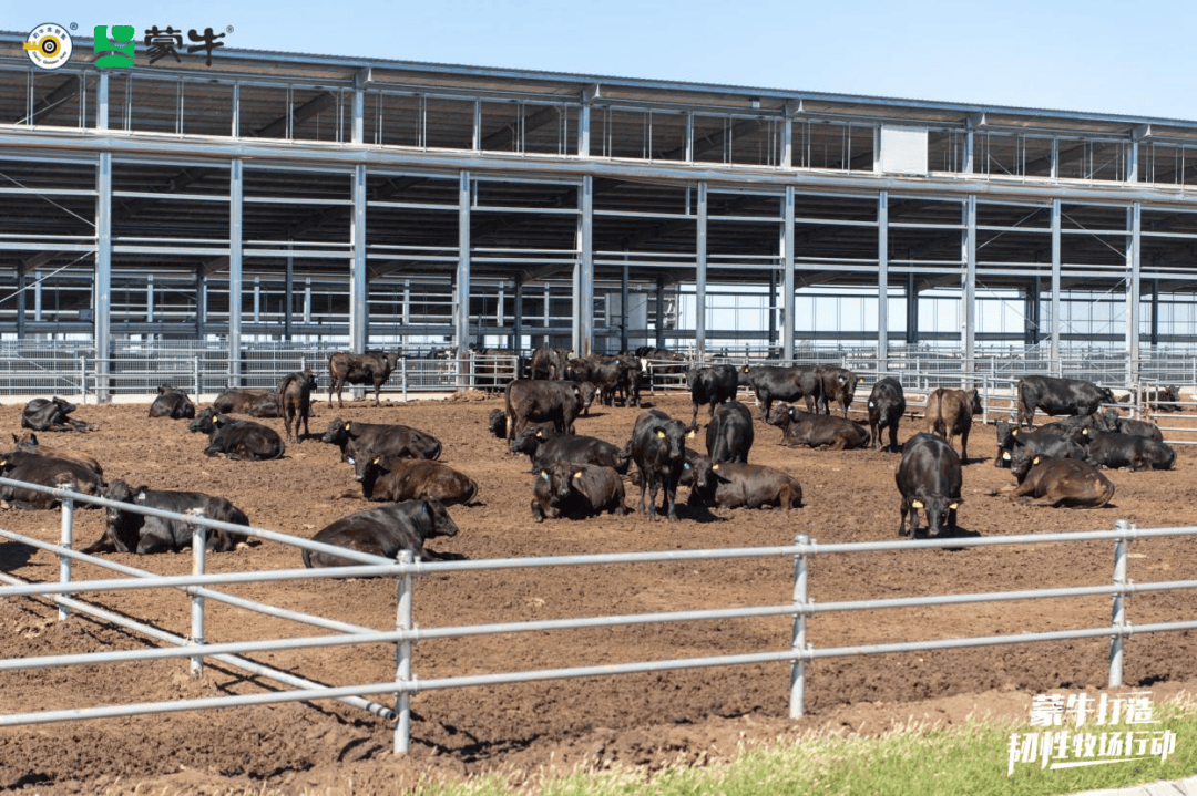 农业农村部发展规划司：2026年将持续落实肉牛奶牛产业各项纾困政策