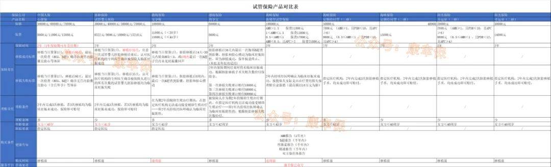 2026女鞋市场深度调研及竞争格局、发展趋势分析_人保服务,人保有温度