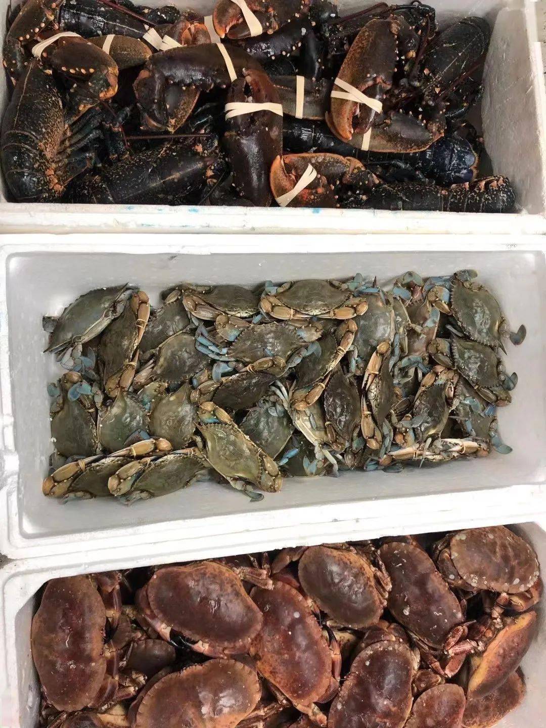 48批次食品抽检不合格，涉柿饼、红糖等