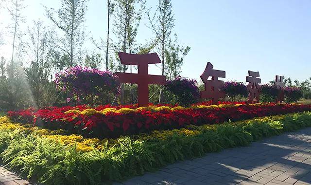 (新春走基层)聆听雄安“安居”故事:此心安处是“吾乡”