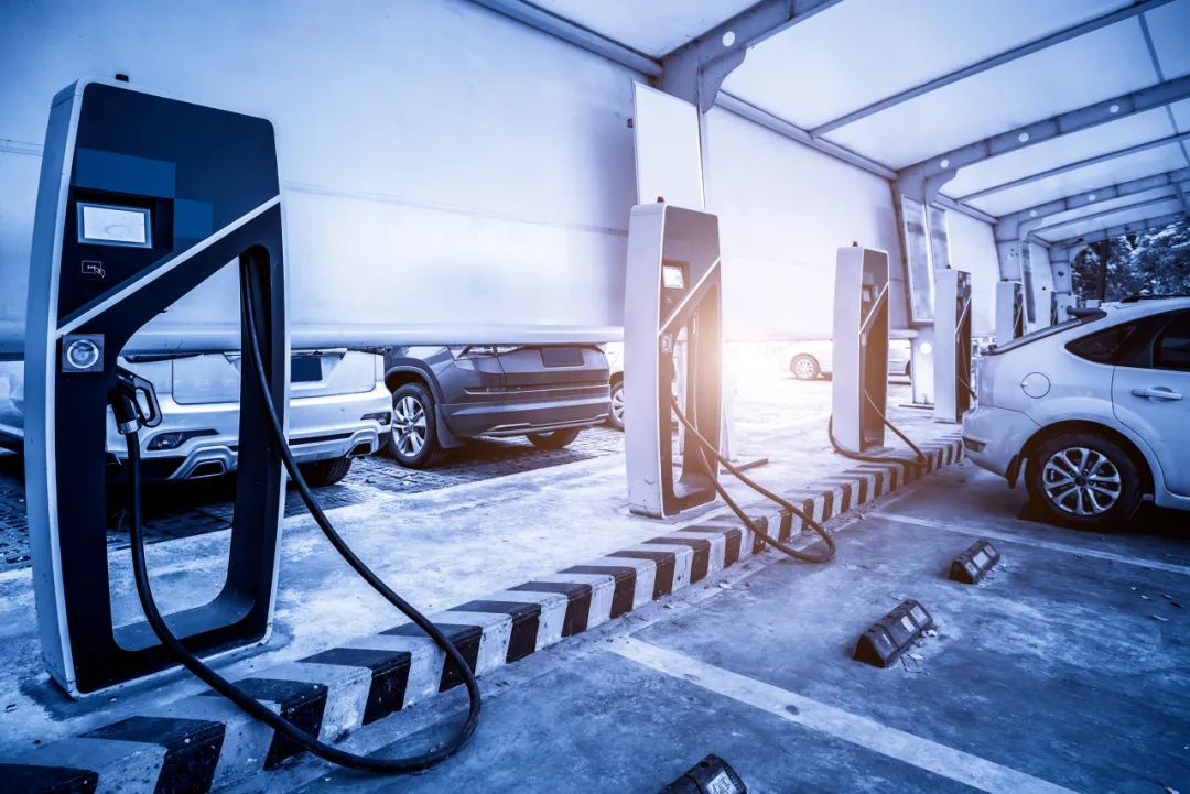 伊戈尔持续走强，股价再创新高