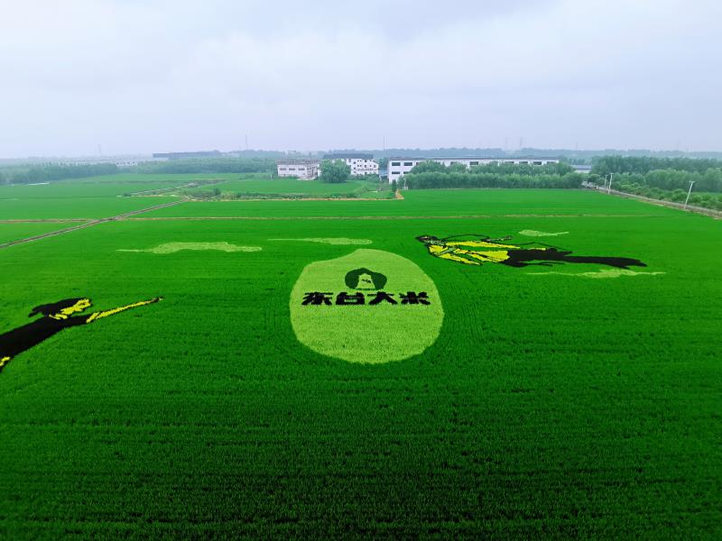 财信证券助力发行湖南省最大单笔乡村振兴公司债券