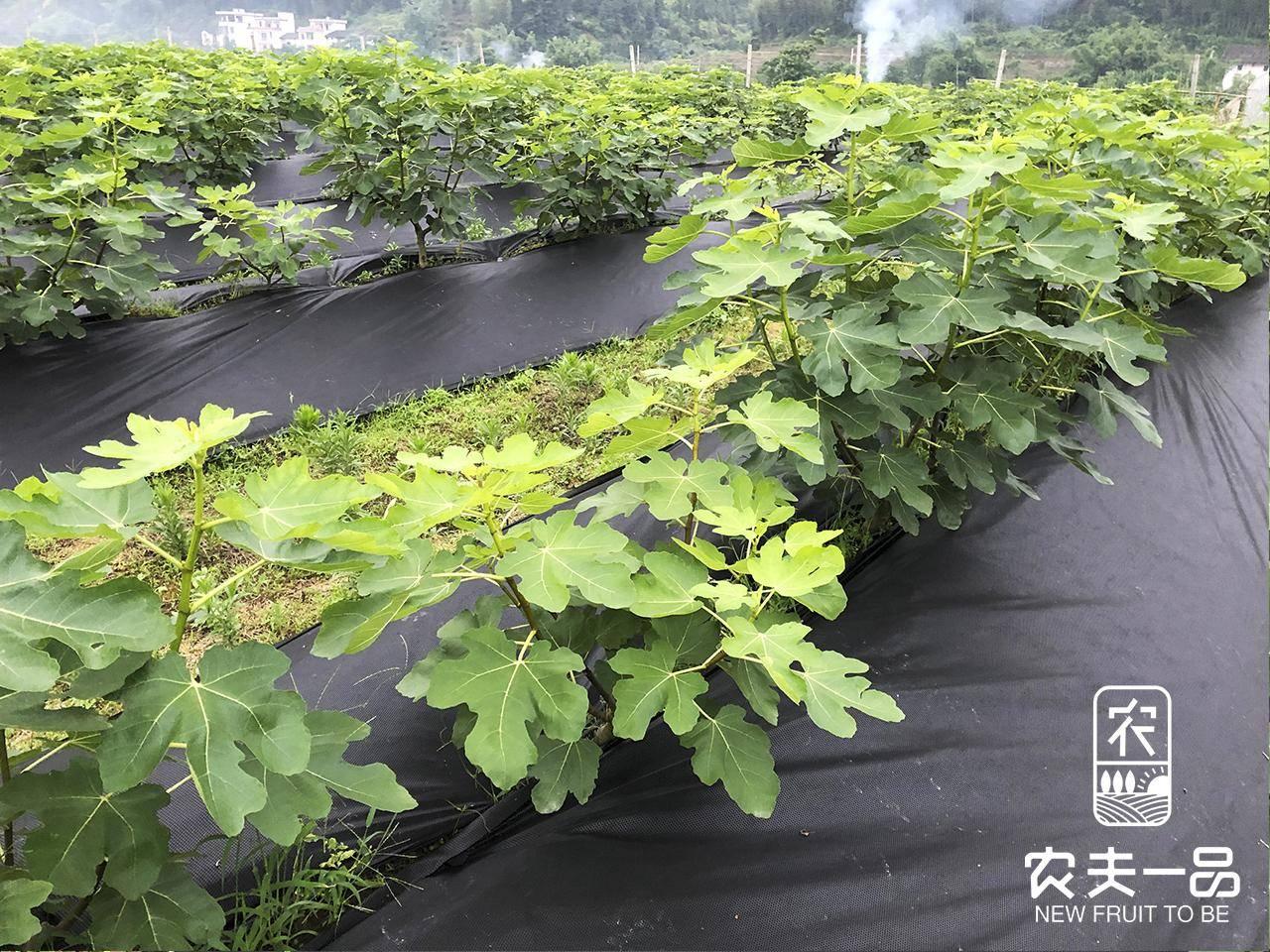 2026-2030年中国防火材料行业：绿色与高效安全并重的发展新趋势_人保财险政银保 ,人保护你周全