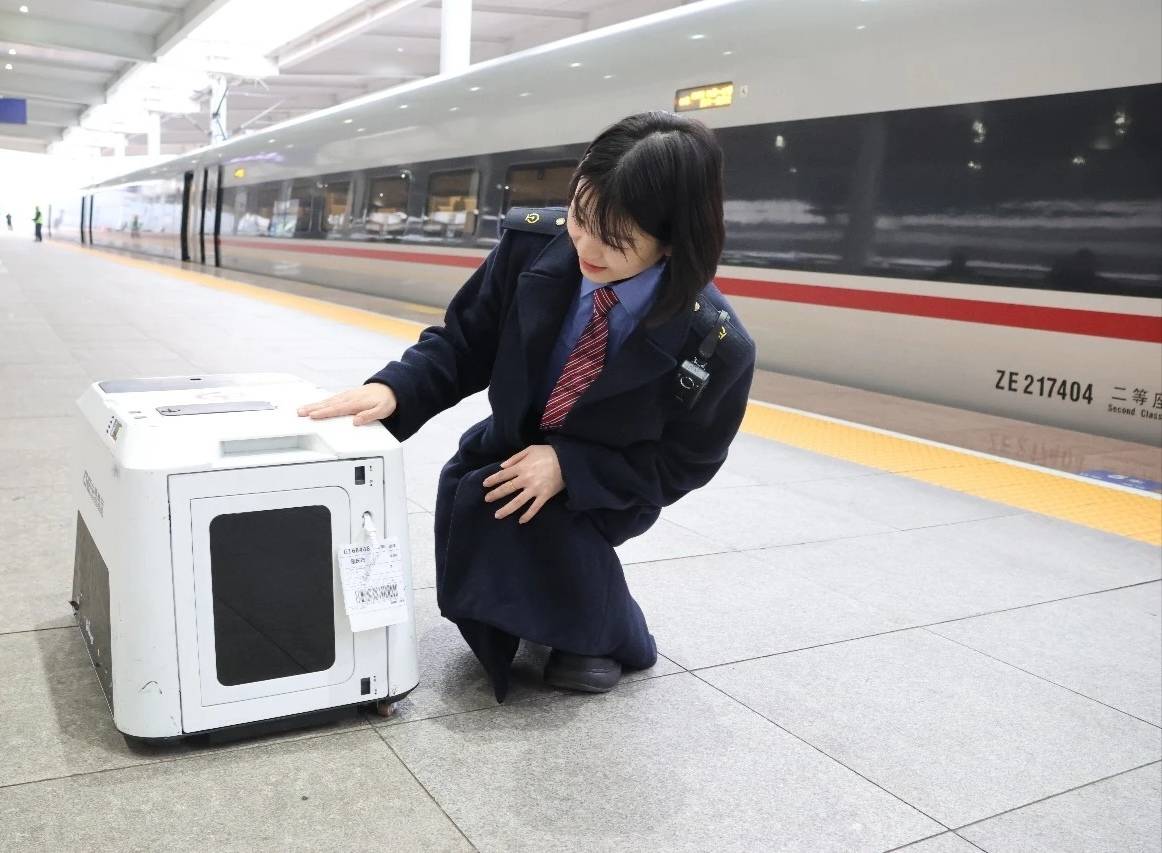 中铁快运联手菜鸟，今年春节让旅客“轻装行”、宠物上高铁