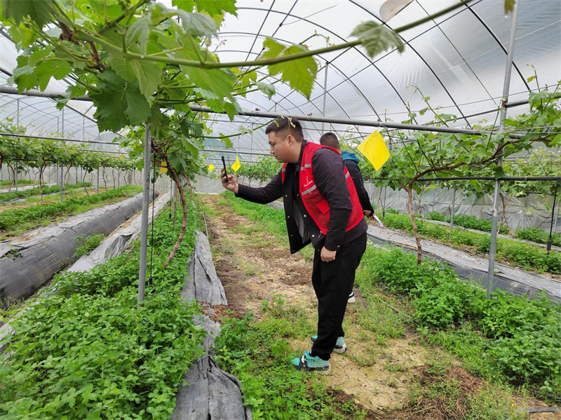 人保服务,人保有温度_2026能源产业：结构性矛盾凸显，绿色转型加速