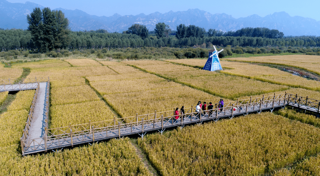 东宁口岸：今年以来出入境人数同比增长45.6%