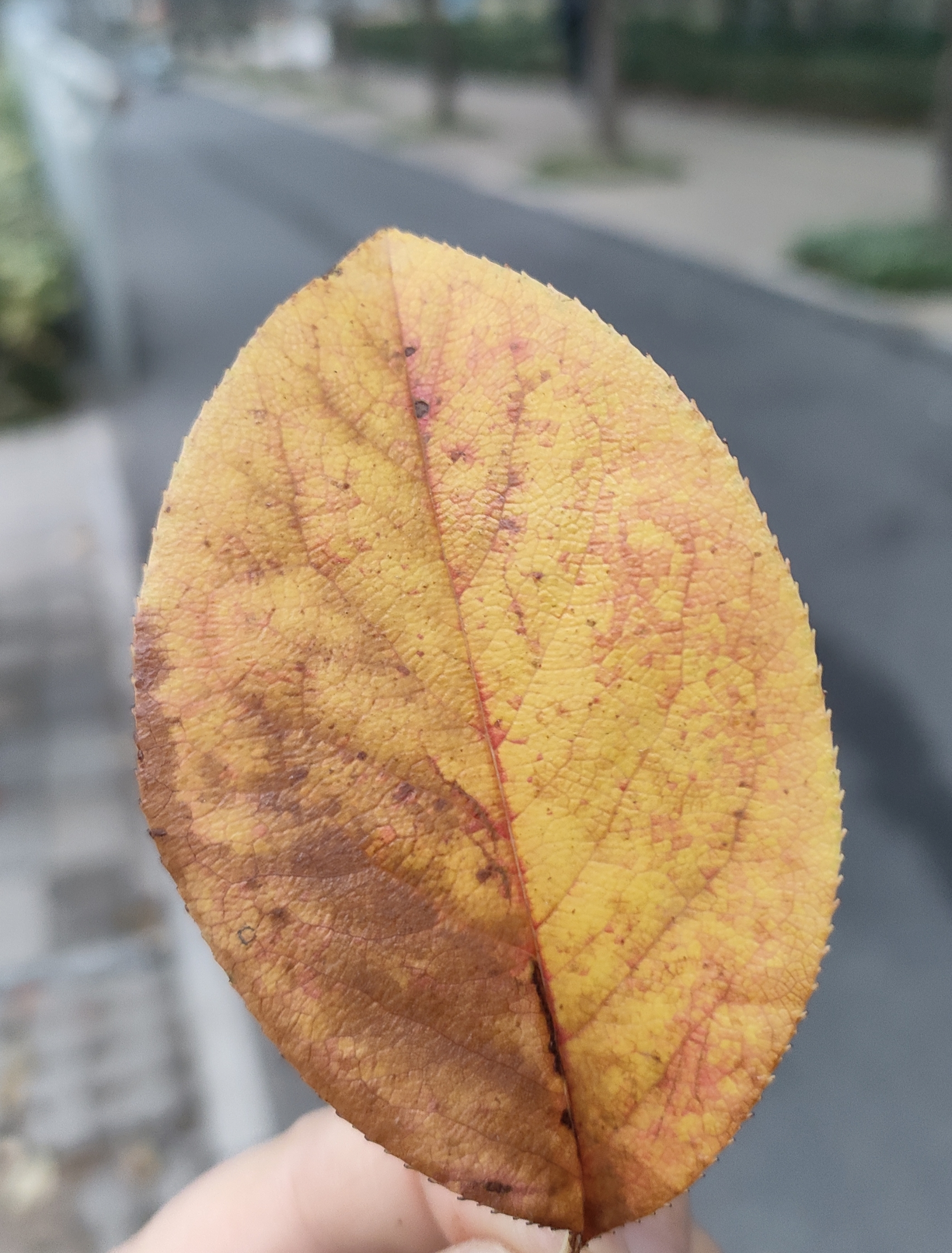 人保车险,拥有“如意行”驾乘险,出行更顺畅!_2025年融媒体行业深度分析:现状剖析、前景展望与趋势洞察