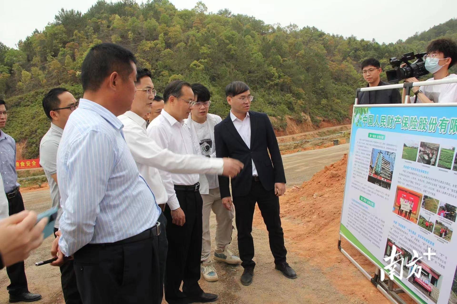 2026-2030年中国香精香料行业竞争分析及投资前景预测分析_保险有温度,人保财险政银保 