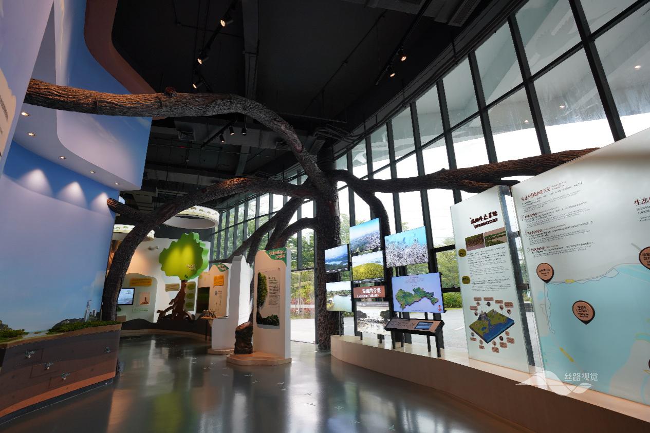 丝路视觉董事王军平减持1.19万股，减持金额24.45万元