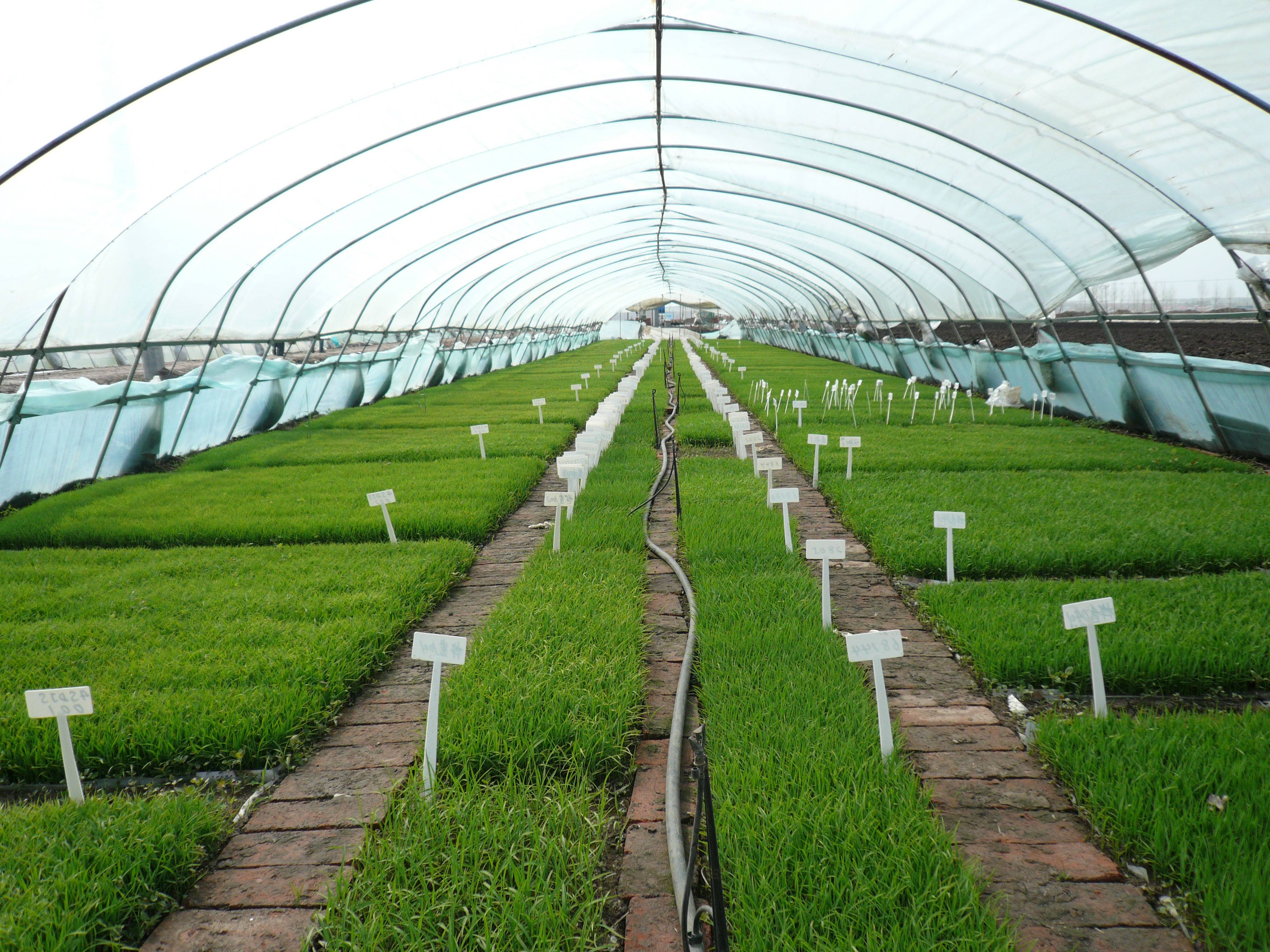 智慧农业如何跨越“技术热”与“落地冷”的鸿沟?_人保服务,人保有温度