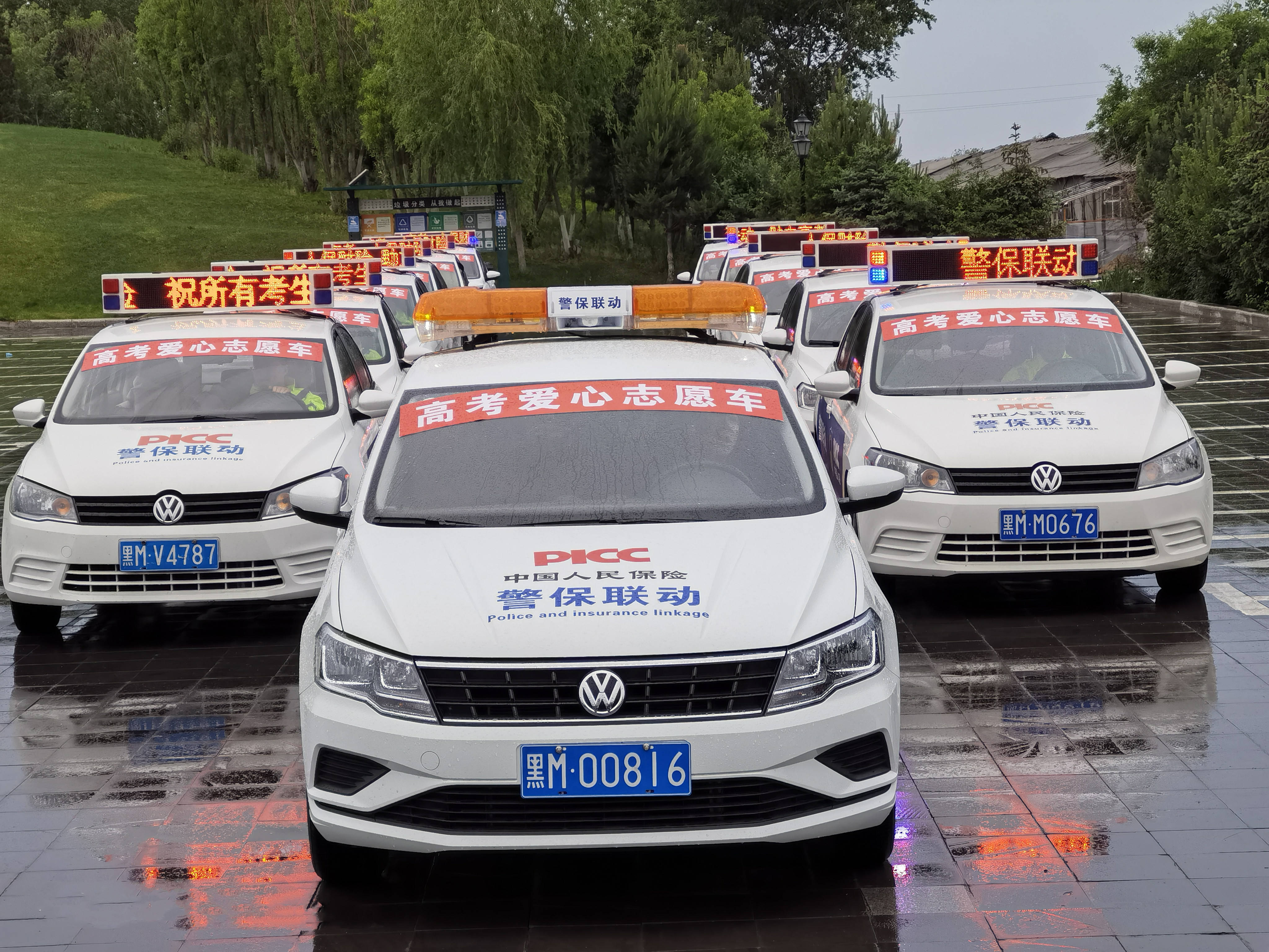 人保伴您前行,人保护你周全_2026-2030年硅钢市场前瞻：供需紧平衡下的结构性投资机遇深度剖析