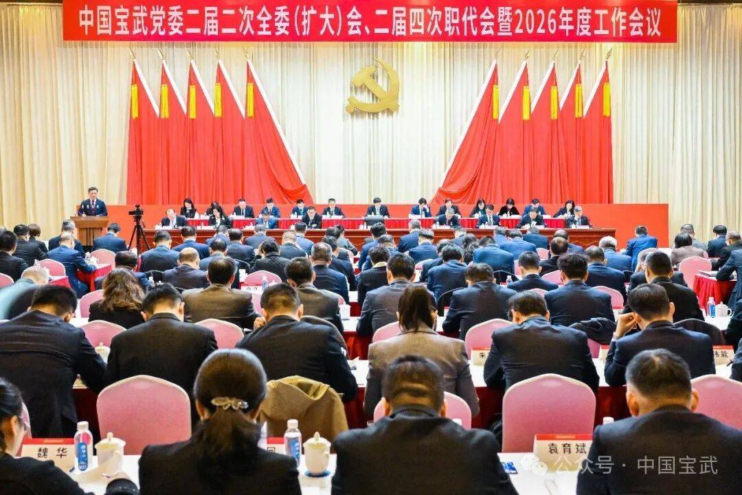 华宝股份：3月20日召开董事会会议