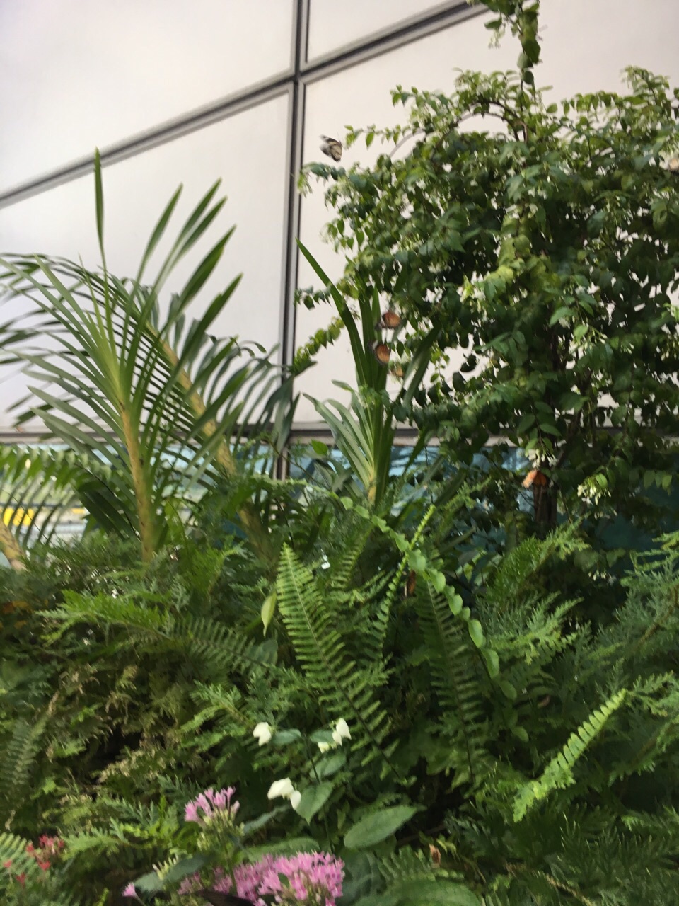 从广州白云机场到新加坡樟宜机场 奥飞新能源助力全球能源绿色智慧转型