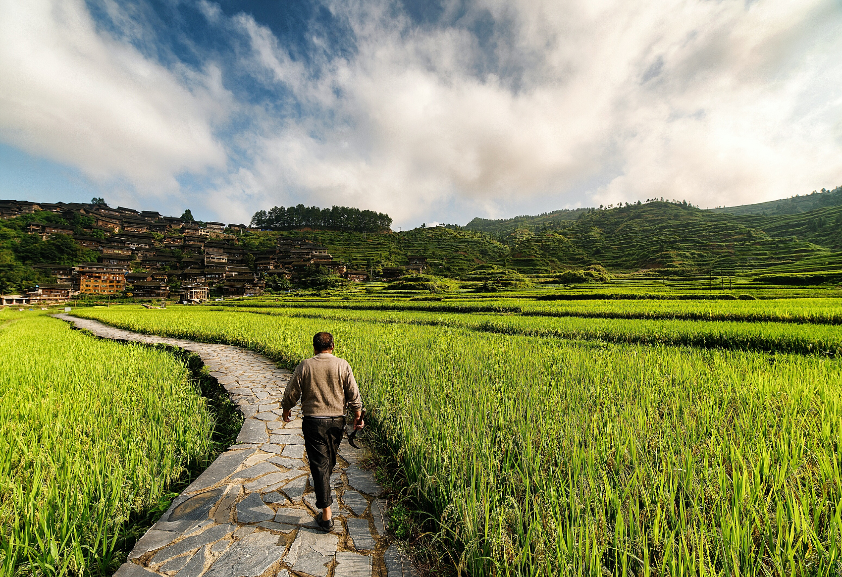 （乡村行・看振兴）福建古田：“赏花经济”赋能乡村绿色发展