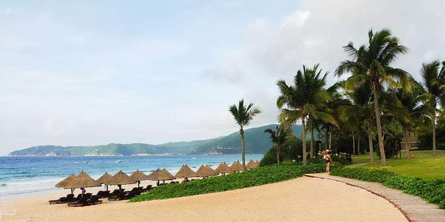 太平洋给予中国中免"买入"评级，年报点评：海南业务强劲复苏，政策红利持续释放