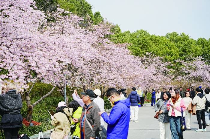 “清明+春假”带动跨省旅游 家庭客群催热春日经济