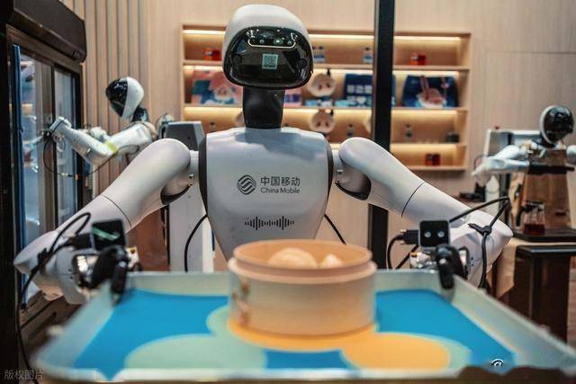 2026中国扫地机器人行业：全球主导与中国引领的