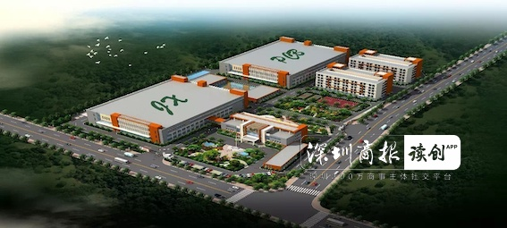 迅捷兴涨停 18只科创板股涨超10%