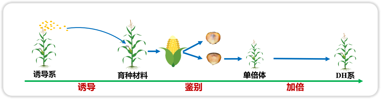 中国科学院院士、清华大学教授欧阳明高：新能源汽车产业要重视资产价值
