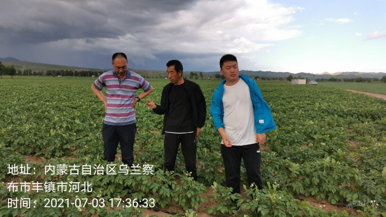 我国科学家提出马铃薯害虫绿色防控新思路