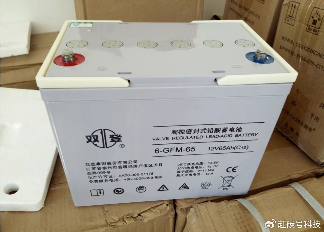 人保服务 ,人保服务_2026-2030年中国电动自行车行业：新国标换新尾浪，掘金锂电化确定性红利