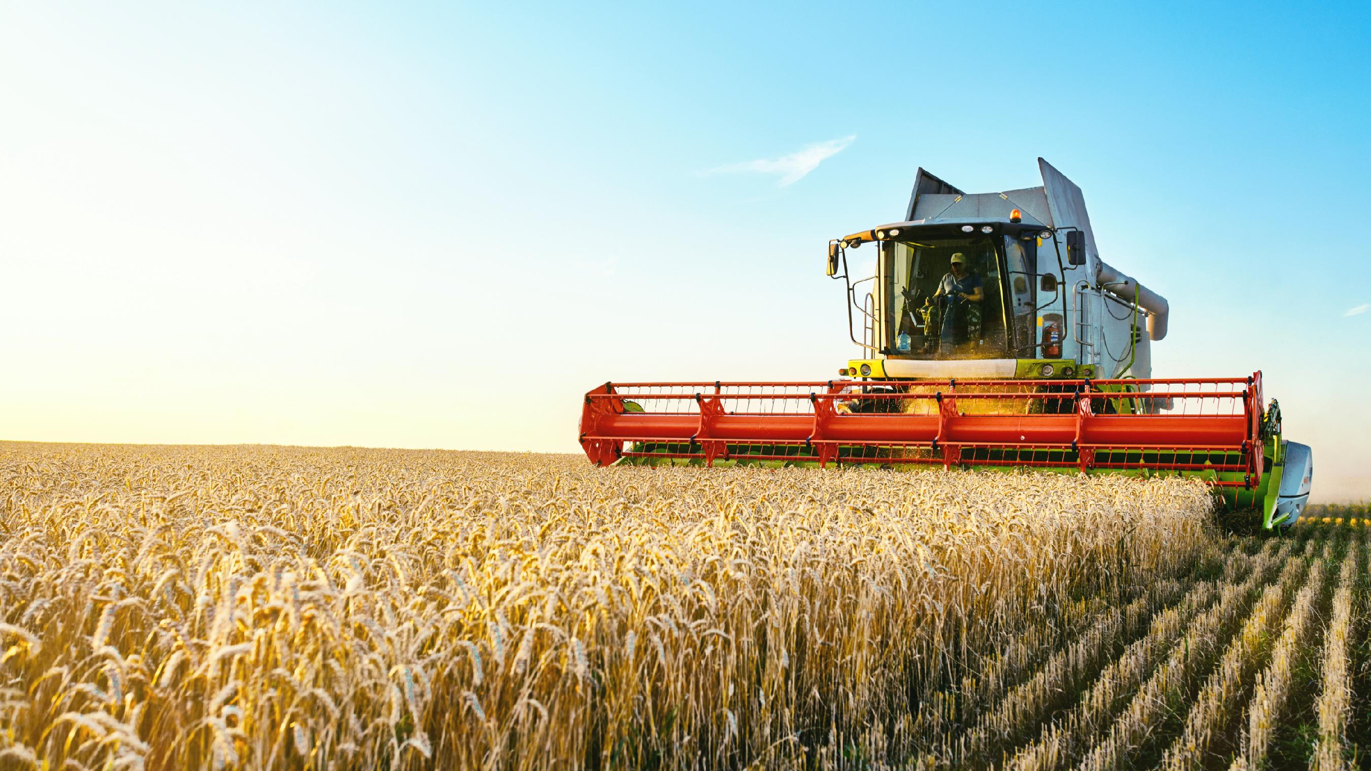 4月17日“农产品批发价格200指数”比昨天下降0.21个点